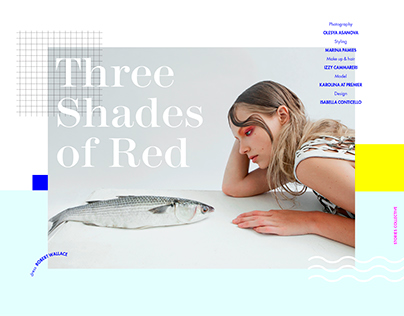 THREE SHADES OF RED | Stories Collective
