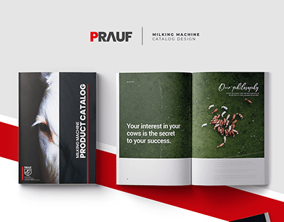 PRAUF | Catalog Design