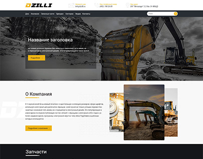 Dzilli company website design