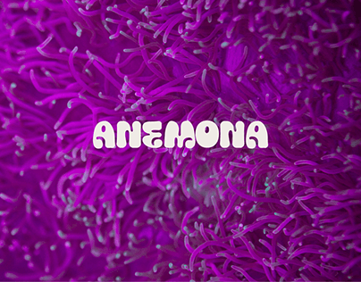 Anemona - Branding