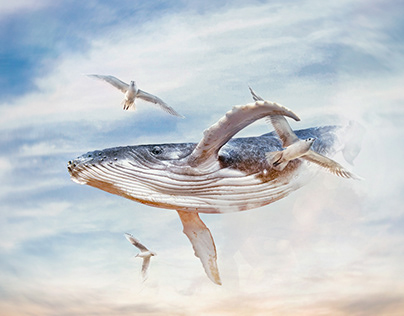 Whale Flying in the Sky | Photo Maniplation