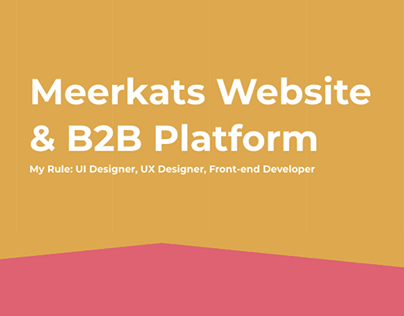 Website and B2B Platform (CRM)