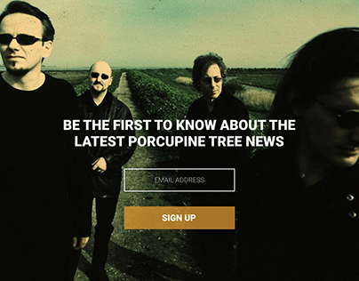 Porcupine tree website design