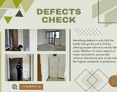 HDB Defects Check Inspector