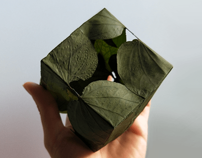 Leaf box (inspired by Andy Goldsworthy)