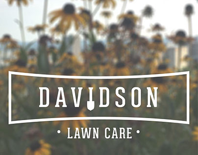 Davidson Lawn Care