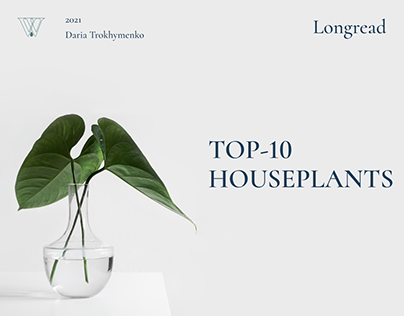 Longread design "Top-10 household plants"