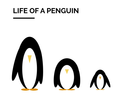 Life of a penguin