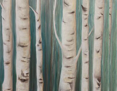 Birch Trees for client project