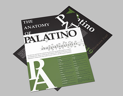 Typographic Posters (Palatino typeface)