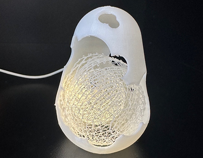 Design100- printed lamp