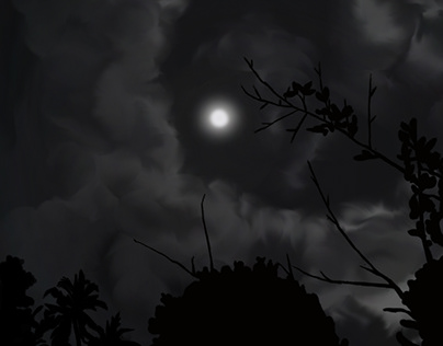 Night Sky Digital Painting