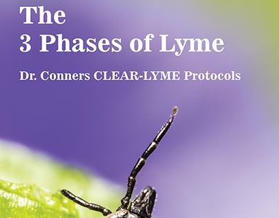 The 3 Phases Of Lyme
