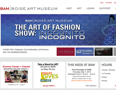Boise Art Museum Website