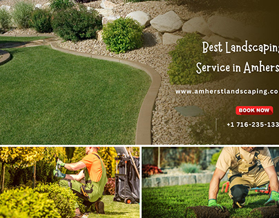Best Landscaping Service in Amherst