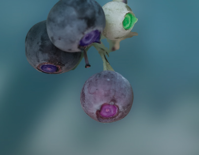 Artsy Blueberries