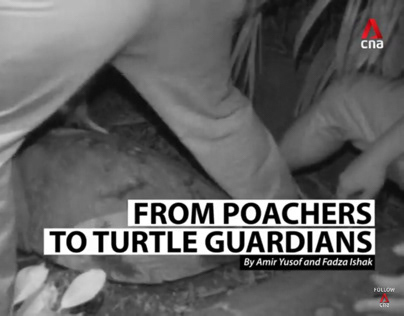 Turtle Conservation Melaka for Channel News Asia