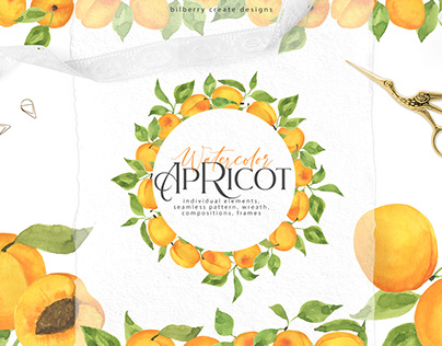 Watercolor Apricot art set
