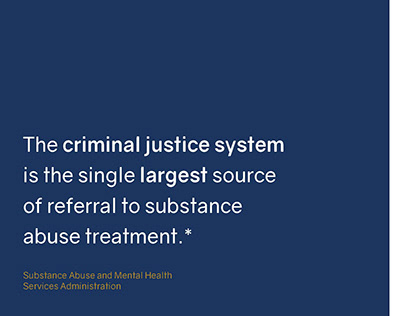 National Judicial Opioid Task Force Report