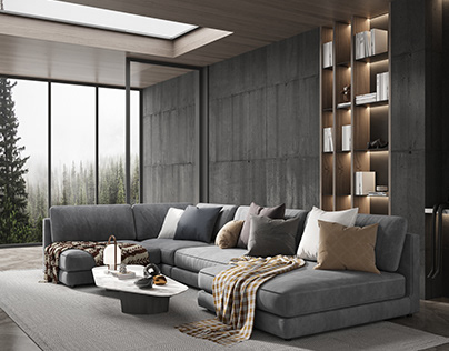 Living room / Sofas