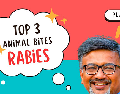 Top 3 Rabies causing Animals in India: Is it Rats,