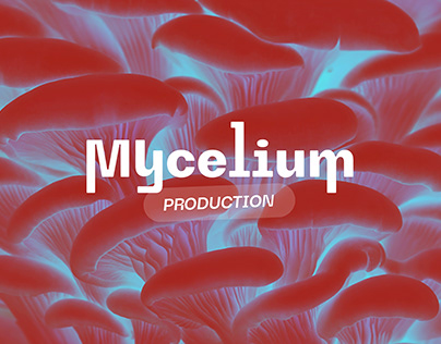 Mycelium - Brand Identity