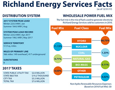 Energy Facts Infographic