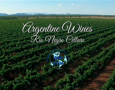 Showcase: Argentinian Wine Industry