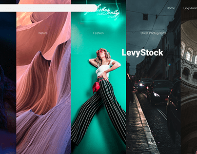 LevyStock