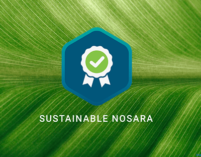 Sustainable Nosara Website