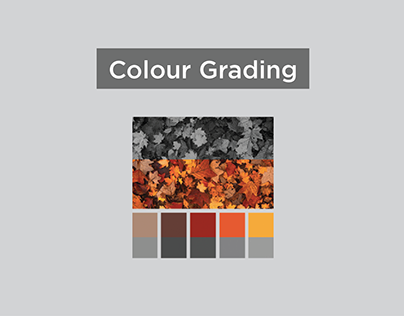 Colour Grading & Photography