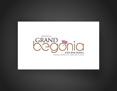 begonia logo options