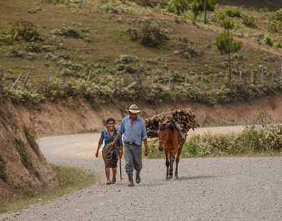 Los Lencas - Pueblo Originario, Honduras