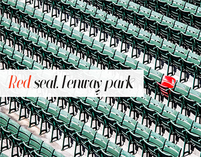 Red seat. Fenway park.
