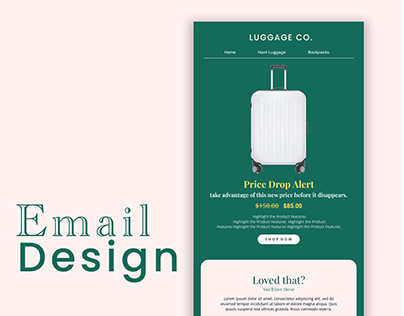 Luggage Brand Newsletter Design