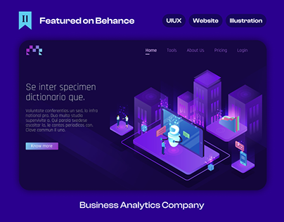 Business Analytics Company - Web/Ui & Illustrations