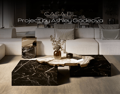 CASA BL: Project by Ashley Gadeova