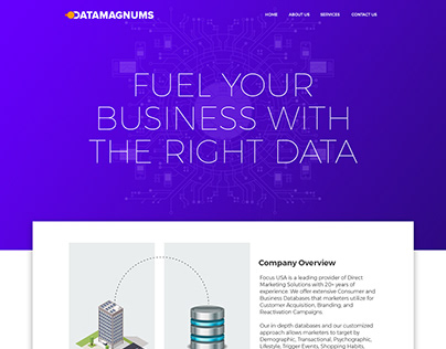 DataMagnums Database Website Design inspiration Ui