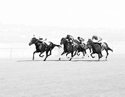Horses Race