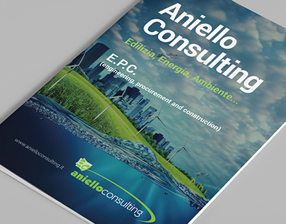 Aniello Consulting - Company Profile