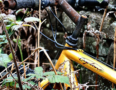Lost Bicycles