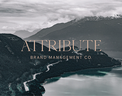 Attribute Brand Management Co.