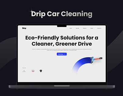 Car Wash Web Design: Drip Car Cleaning Case Study