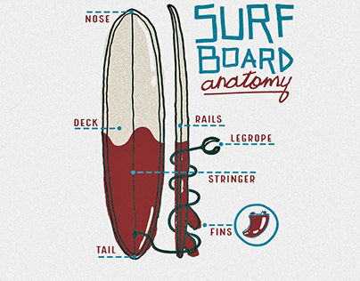 SURF BOARD ANATOMY