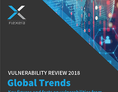 Global Vulnerability Report