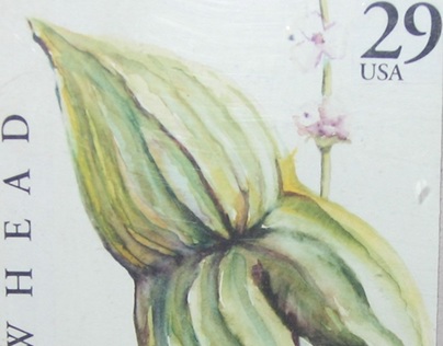 Arrowhead Flower Stamp