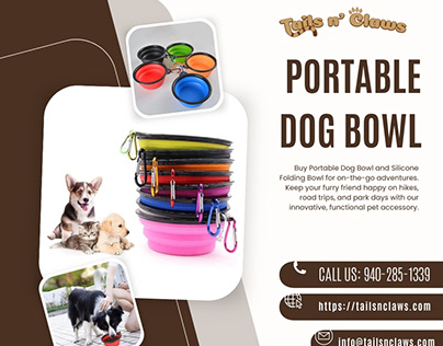 Portable Dog Bowl | Silicone Folding Bowl