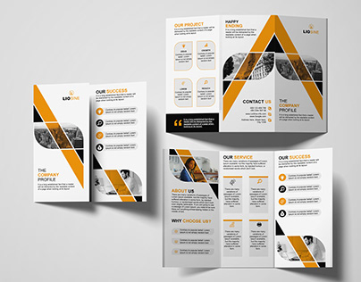Brochure - The Company Profile