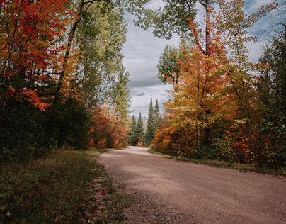 Autumn Country Roads