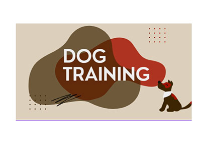 Effective Dog Training Solution